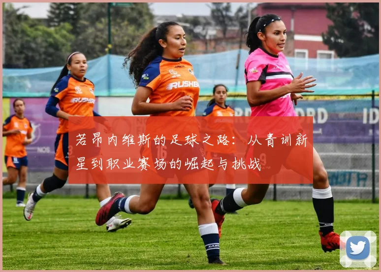 若昂内维斯的足球之路：从青训新星到职业赛场的崛起与挑战
