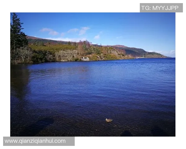 布莱克尼的神秘魅力探索与自然奇观的完美结合之旅